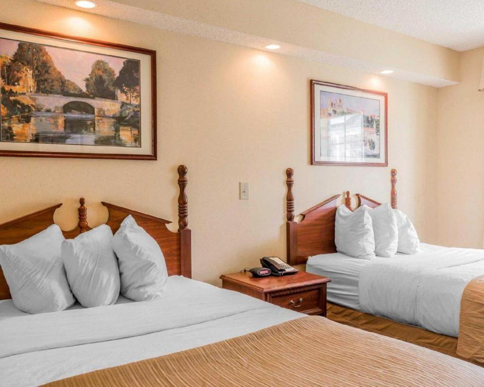 Rodeway Inn Sylacauga Hwy 280 エクステリア 写真