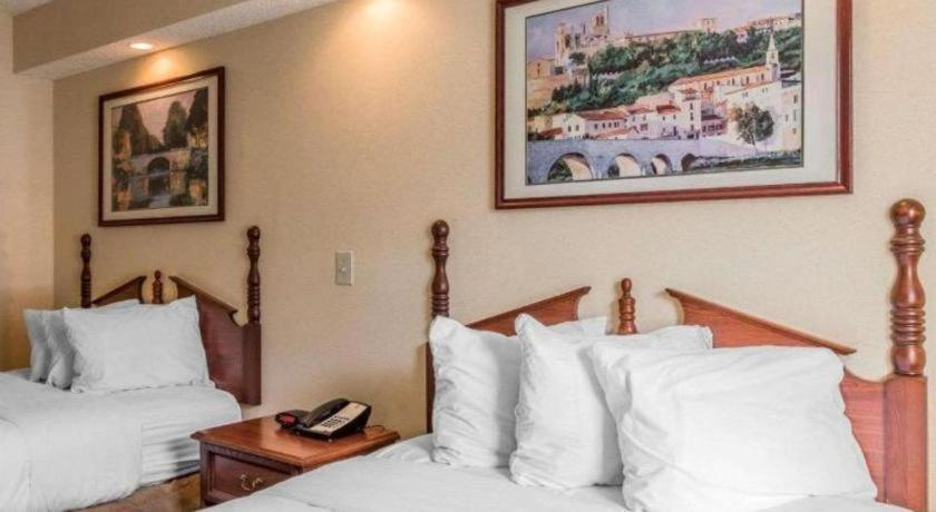 Rodeway Inn Sylacauga Hwy 280 エクステリア 写真
